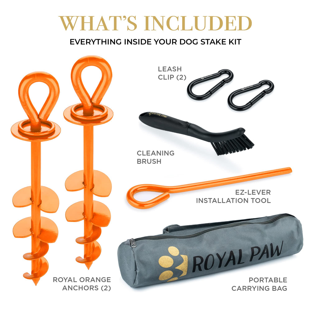 ROYAL PAW piquet d'attache chien extérieur installation rapide sur sable