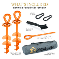 ROYAL PAW piquet d'attache chien extérieur installation rapide sur sable