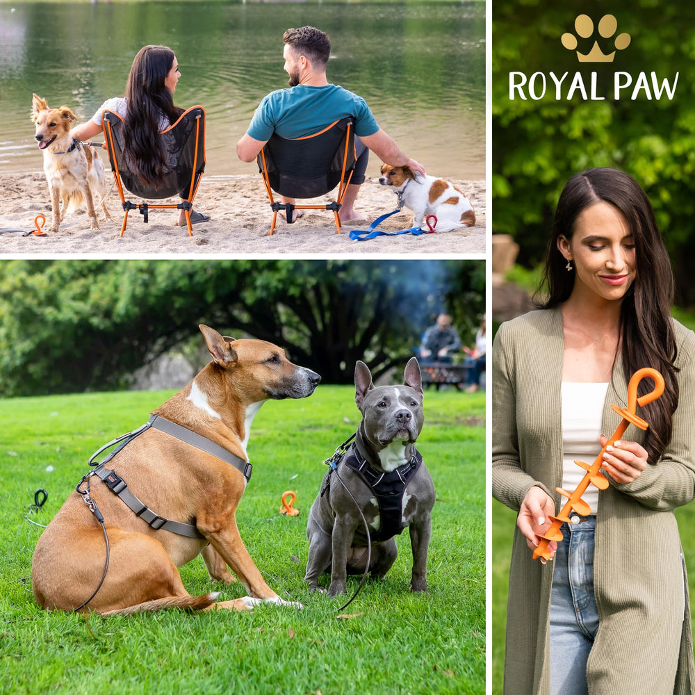 Spirale et lame double ROYAL PAW: insertion efficace.