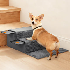 Royalay calèttes-escalier-pet, soutien stable pour petit chien en mouvement.