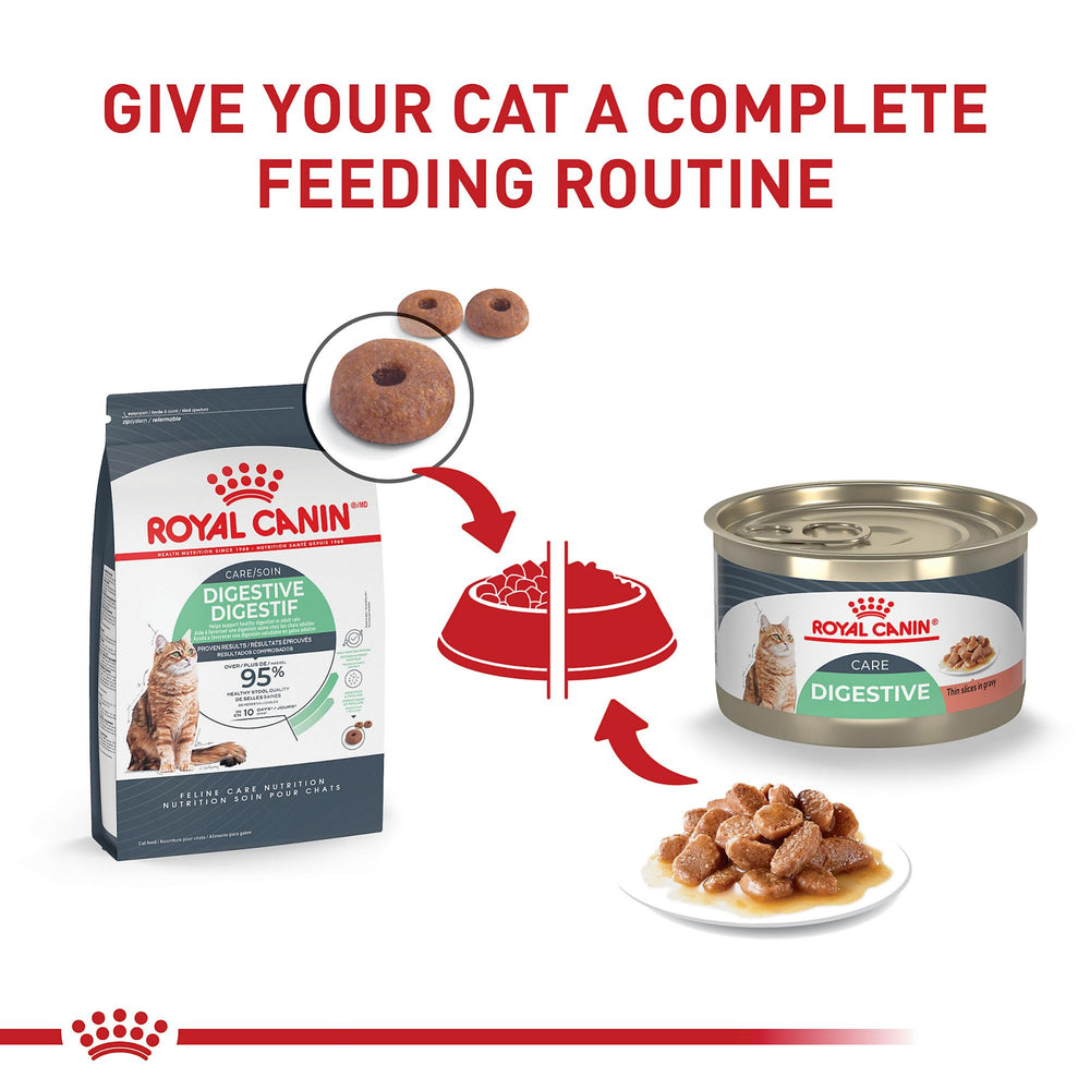 ROYAL CANIN Digestive Care, plat humide complet pour chat adulte.