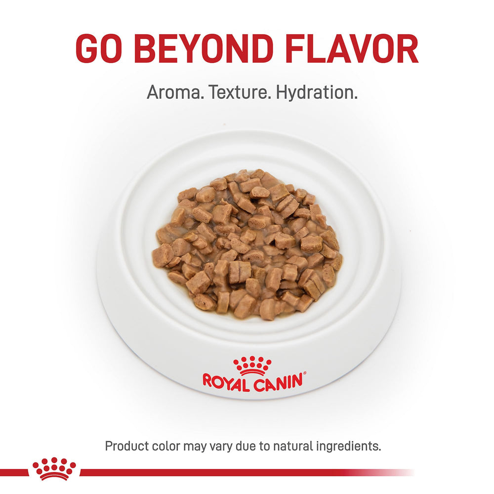 ROYAL CANIN Digestive Care, complément idéal des croquettes Digestive Care.