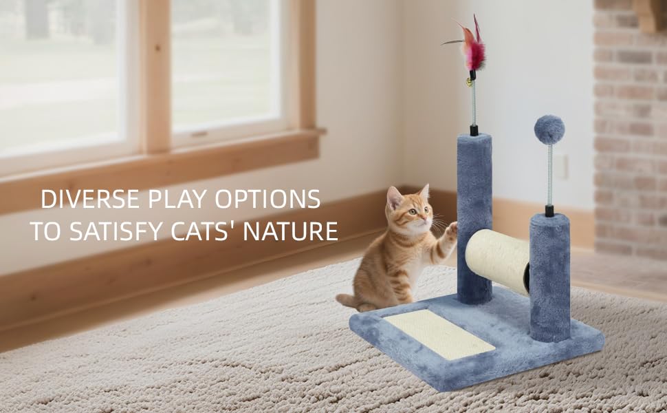 Roypet jouets plumes et boules: stimulation visuelle et jeu interactif.