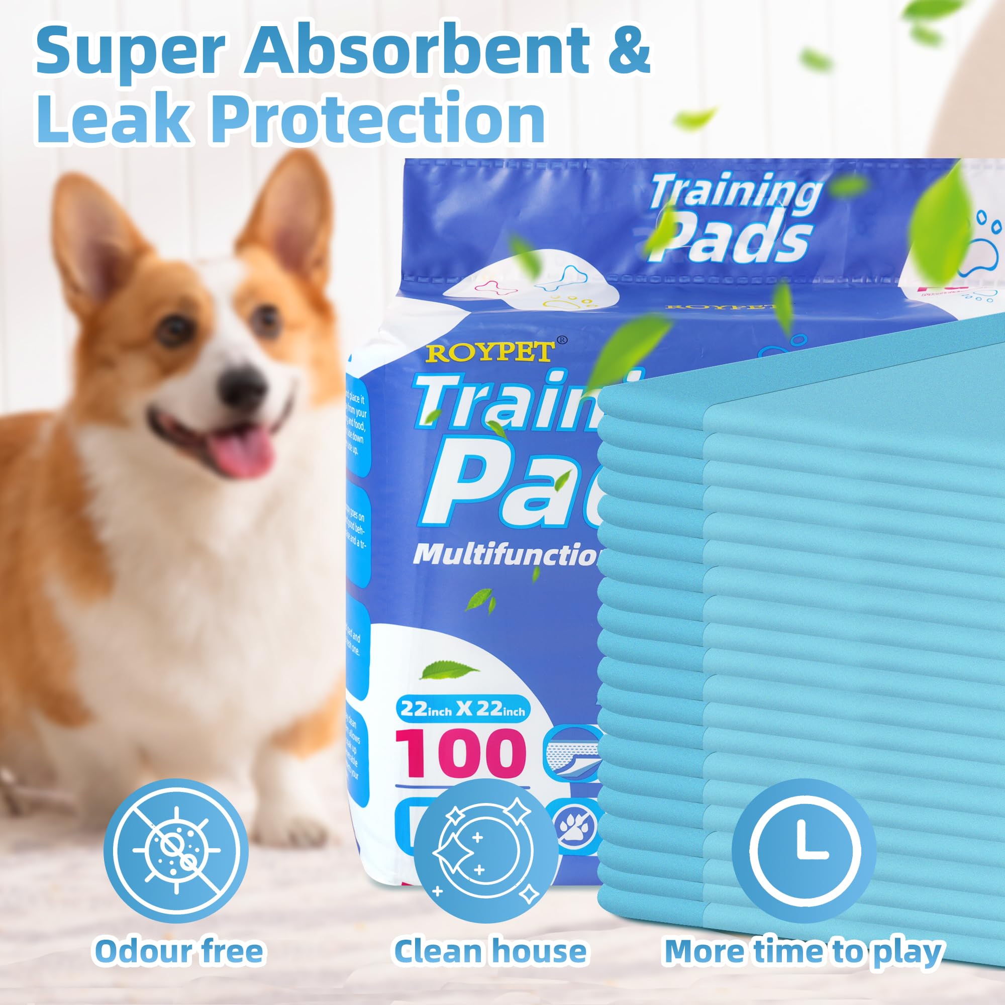 Roypet tapis d_entraînement chiots – attractant intégré guide le chiot vers le bon emplacement