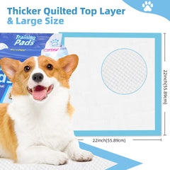 Roypet tapis d_entraînement chiots – élimination des odeurs pour un intérieur plus frais