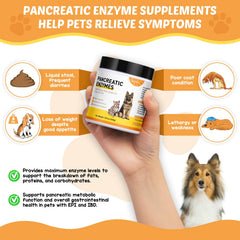 ROZJOVU alimentation chien avec enzymes pour repas harmonieux