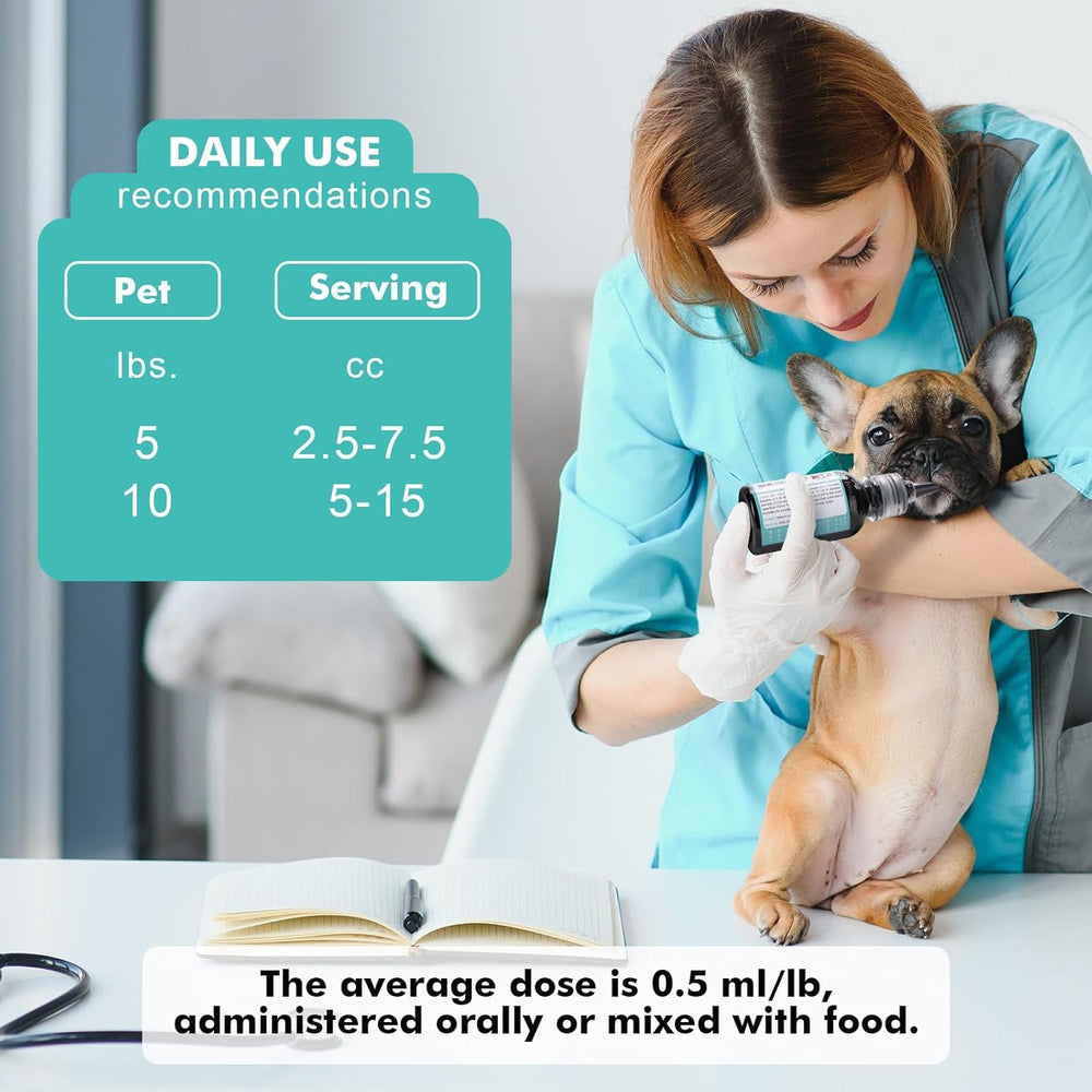 ROZJOVU Charbon Actif Chiens - kit de secours pratique pour la trousse.