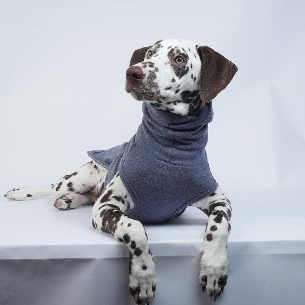 ROZKITCH protection-oreilles bleu 2XL – réduction des irritations après soins