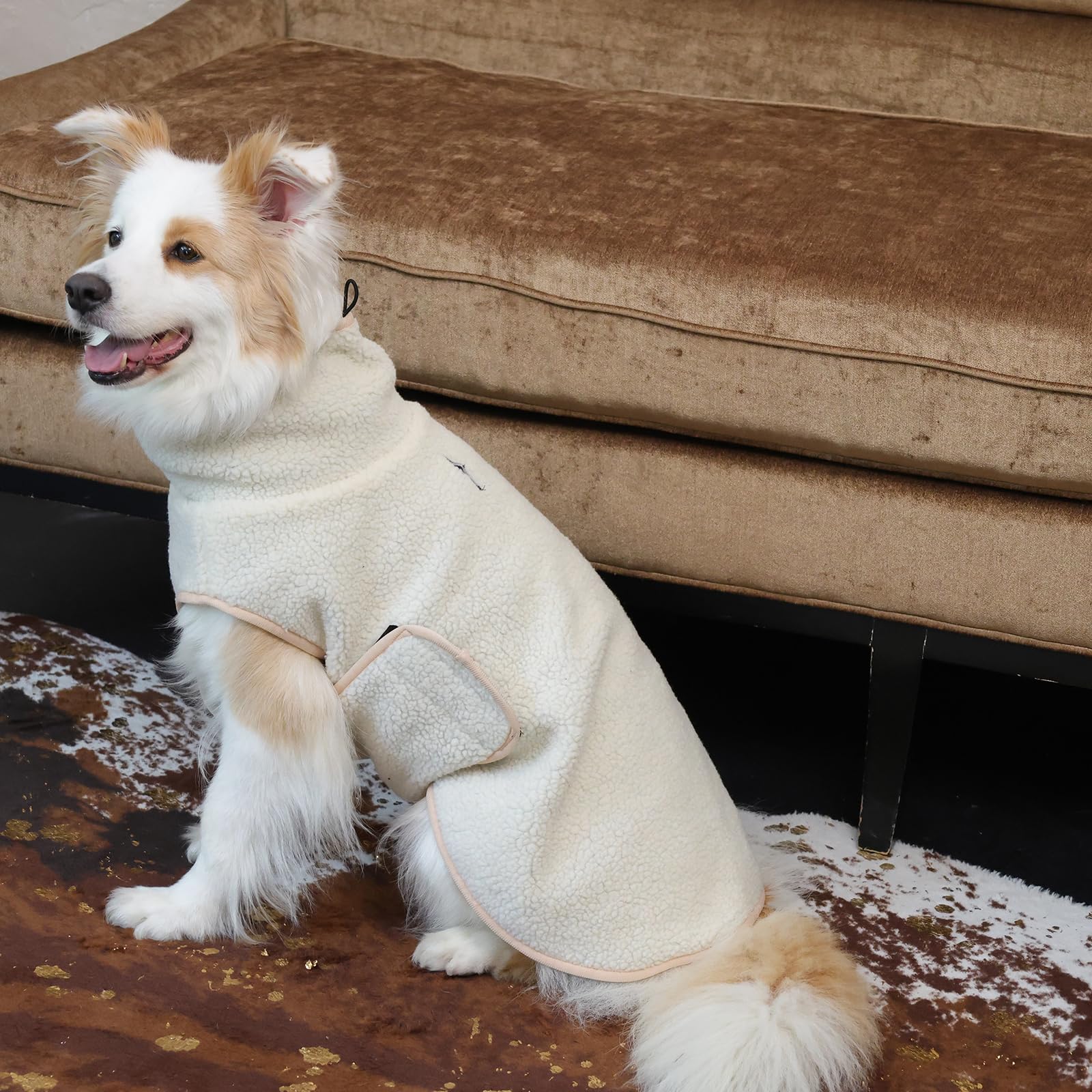 ROZKITCH gilet chien grande taille 2XL, ajustement confortable