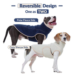 ROZKITCH gilet chien avec trou pour laisse, sécurité lors des balades