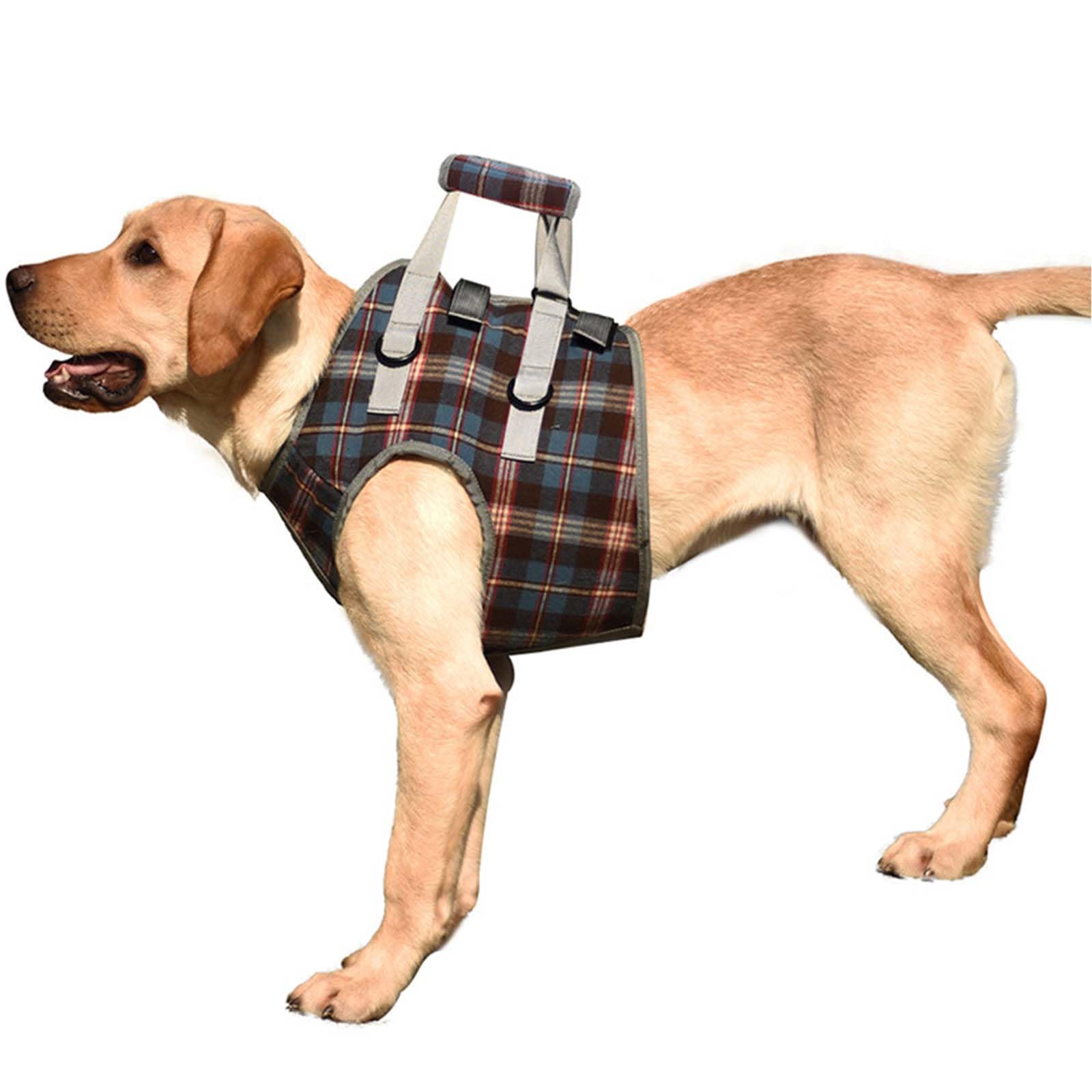 Harnais ROZKITCH elevation chien avant pour aider à marcher et monter les obstacles