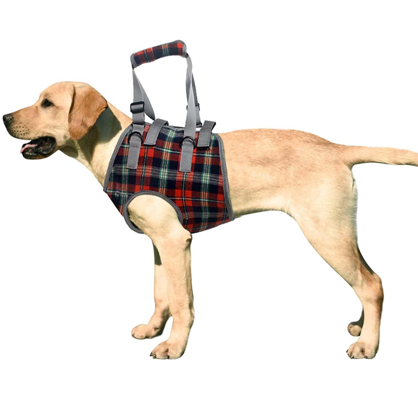 ROZKITCH harnais de levage chien – avant, aide à la marche.