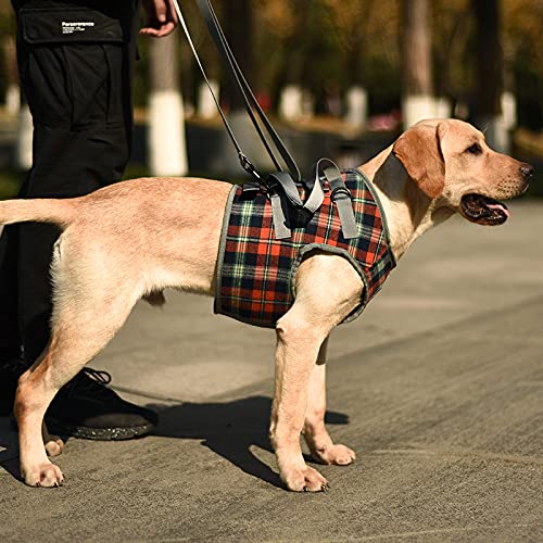 ROZKITCH harnais levage chien – poitrine, soutien et stabilité lors des pas.