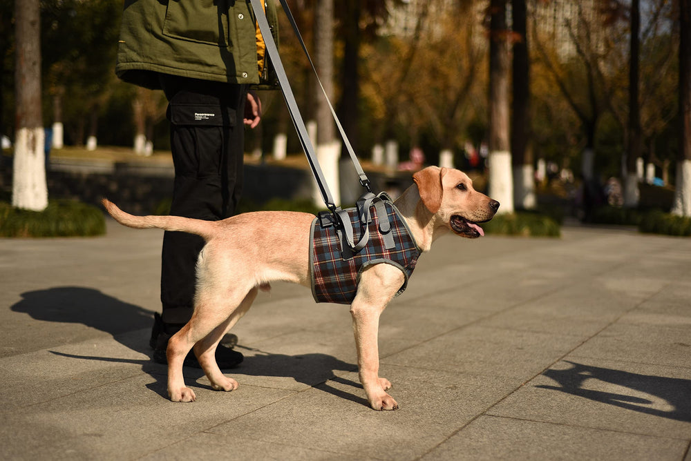 Harnais ROZKITCH materiau doux poitrine chien toucher agréable et respirant