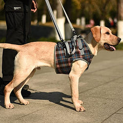 Harnais ROZKITCH soutien poitrine chien pour port stable et confortable