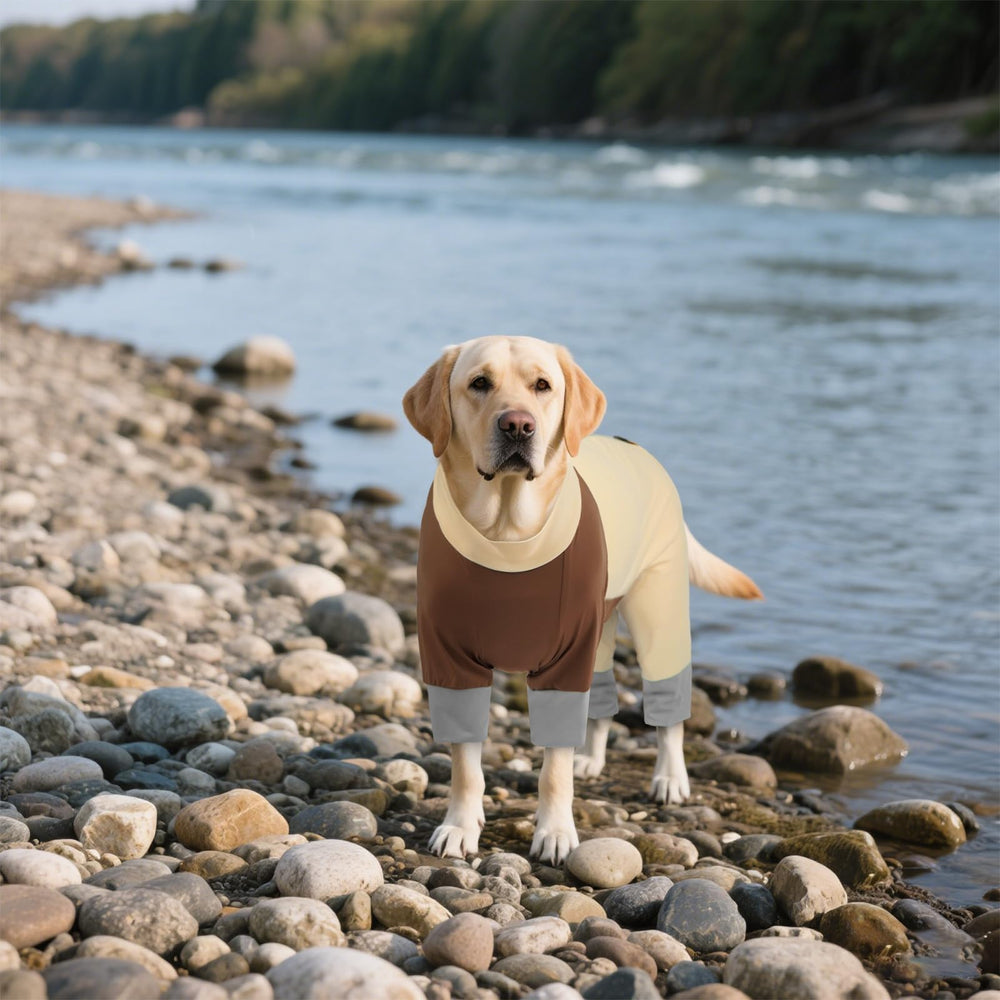 ROZKITCH manches intégrales chien, protection et style lors des sorties