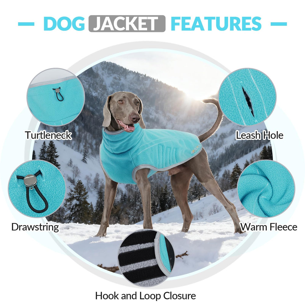 ROZKITCH manteau enfiler facilement grand-danois bleu-vert, pratique pour chiens énergiques