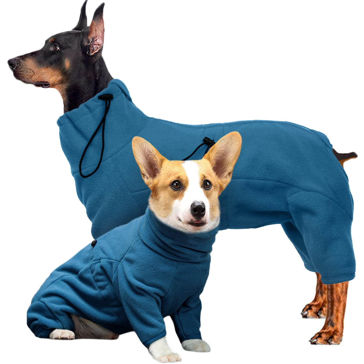 ROZKITCH PJS chien manteau hiver avant, chaleur agréable pour les promenades.