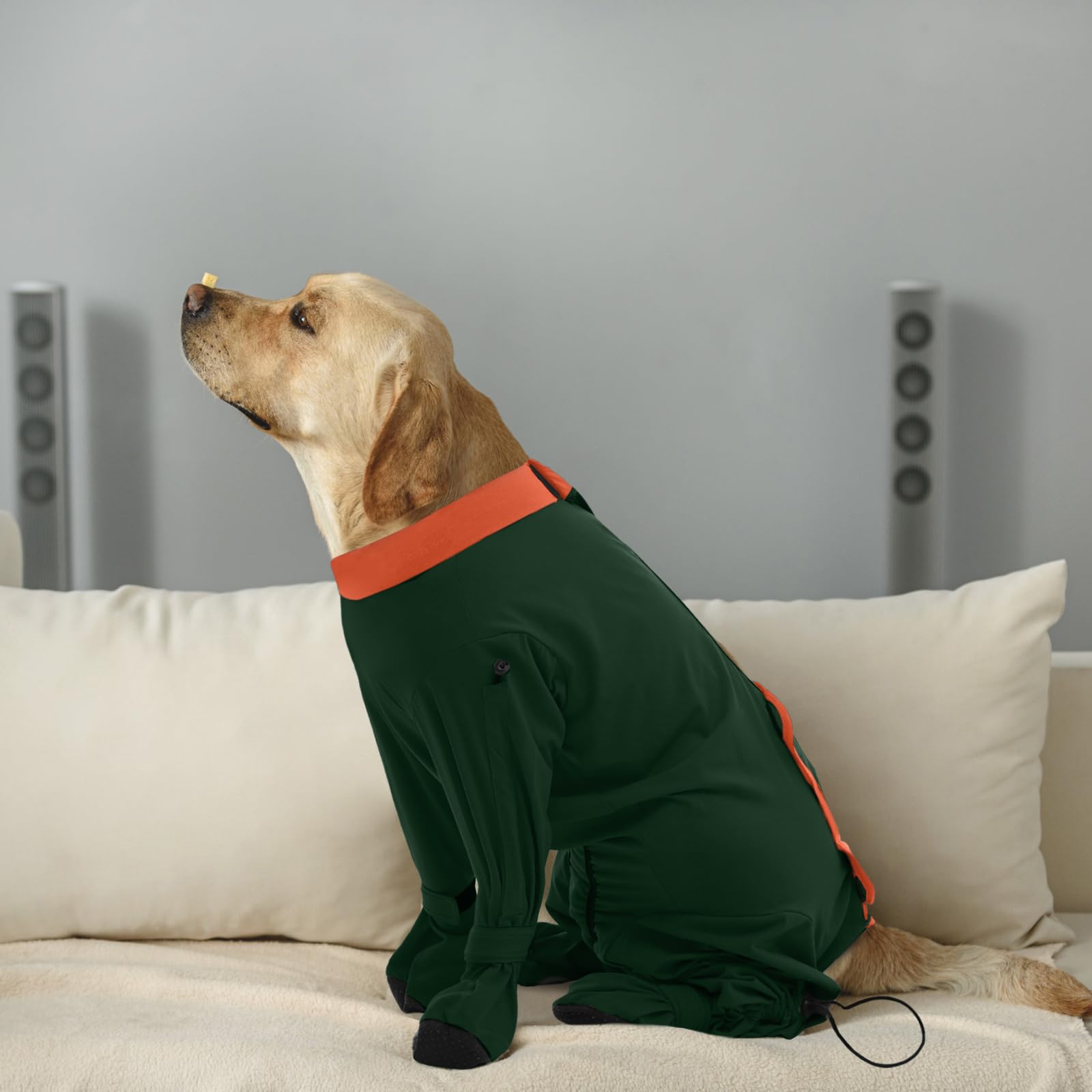 ROZKITCH confort-mouvement, permet au chien de bouger et se reposer librement