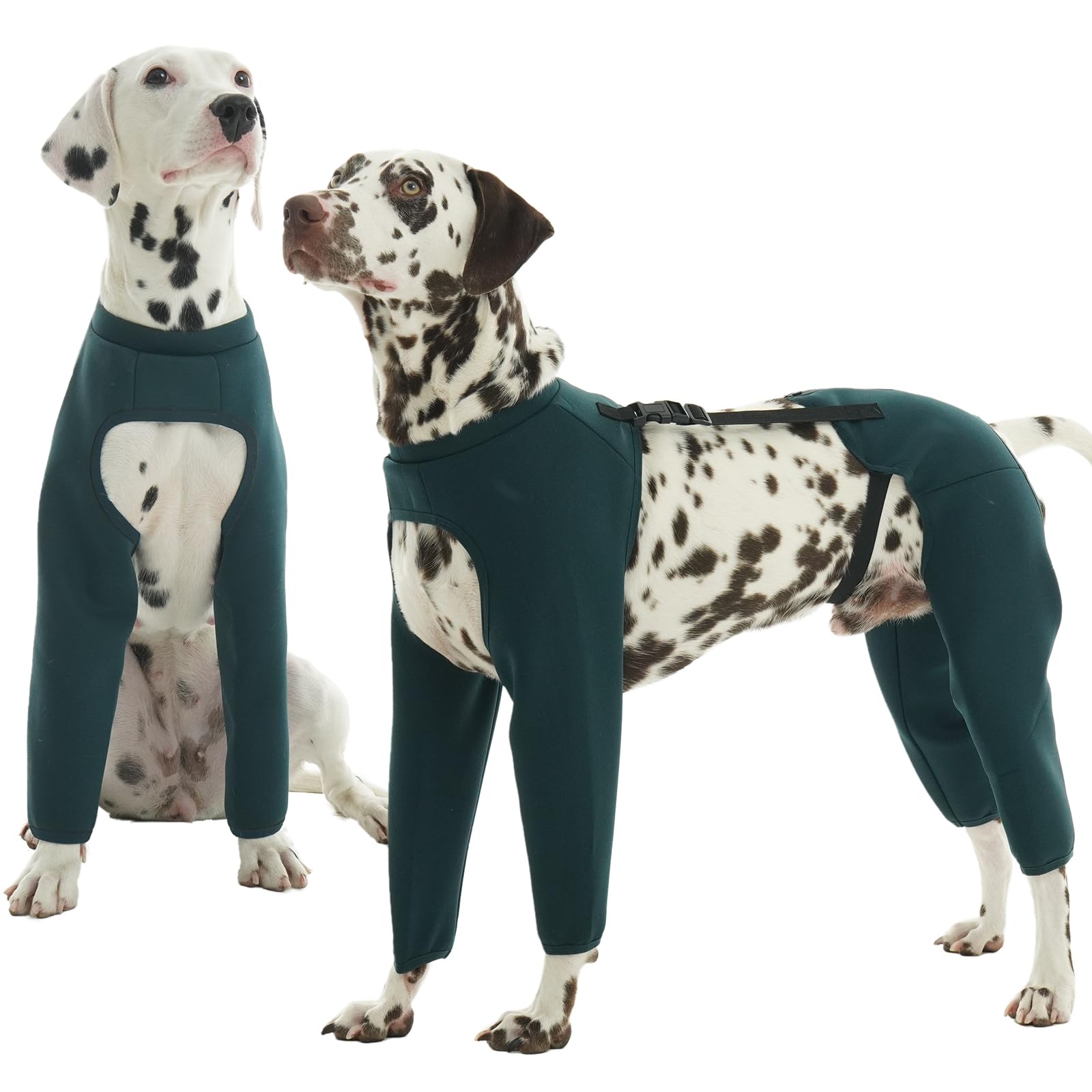 ROZKITCH suit de rétablissement chien protège les quatre pattes lors des sorties.