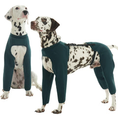 ROZKITCH suit de rétablissement chien protège les quatre pattes lors des sorties.