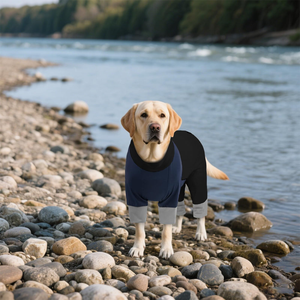 ROZKITCH tenue solaire chien pratique près de l'eau.