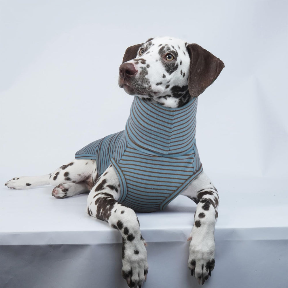 ROZKITCH taille 4XL, adaptée aux grands chiens