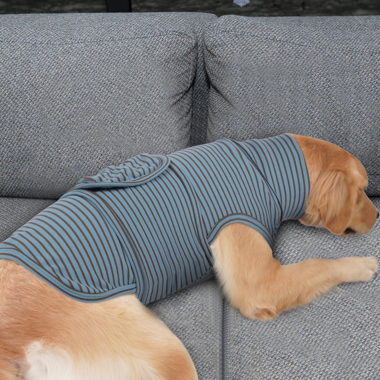 ROZKITCH usage intérieur et extérieur pour chien lors des sorties