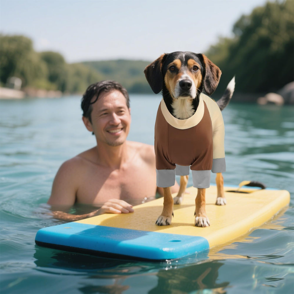 ROZKITCH veste extérieure polyvalente pour chien en randonnée et plage