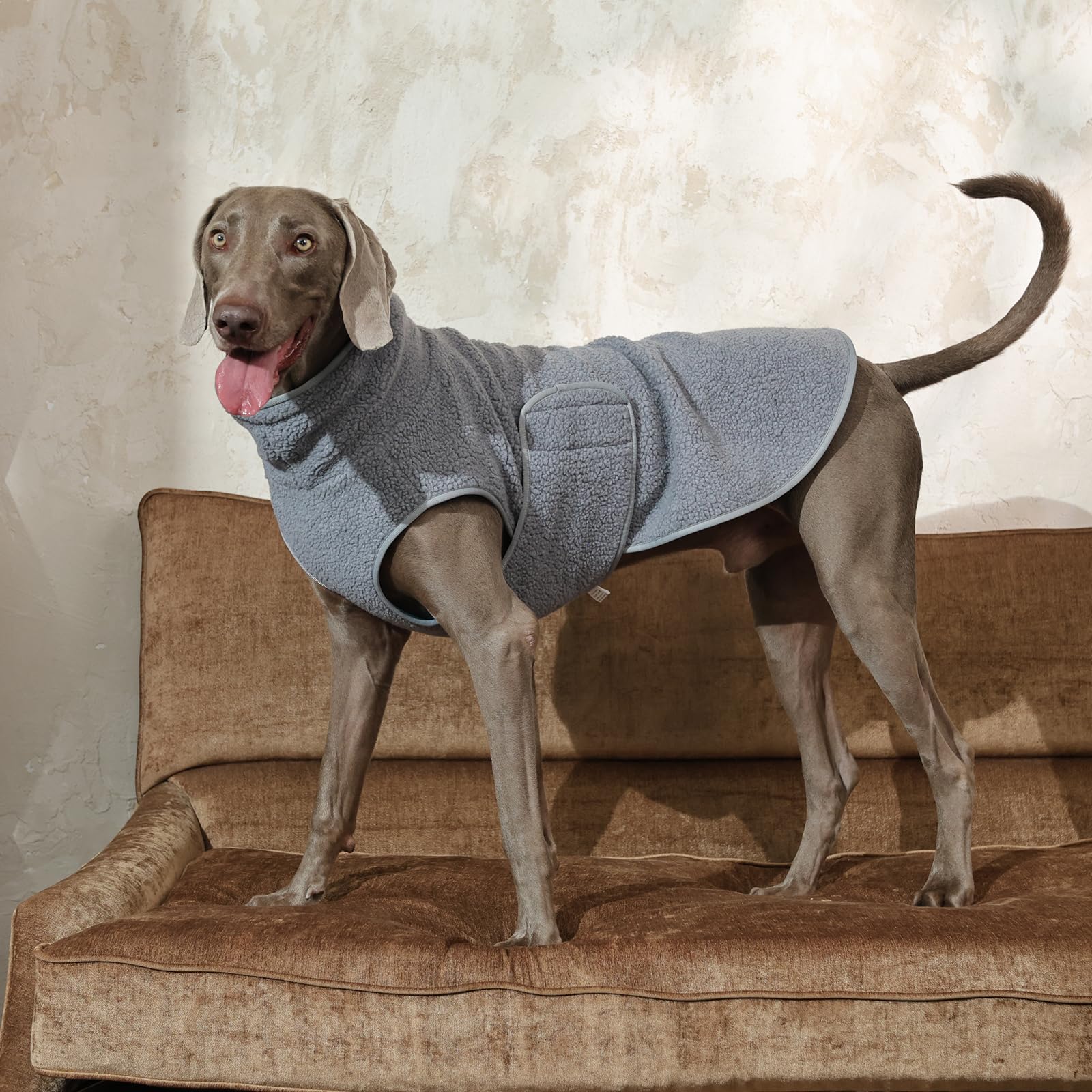 ROZKITCH dressing facile, enfilage rapide pour chiens énergiques