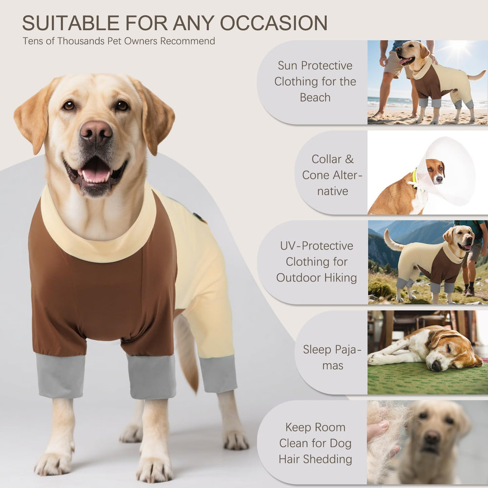 Vêtement ROZKITCH chien avec refroidissement et séchage rapide après baignade