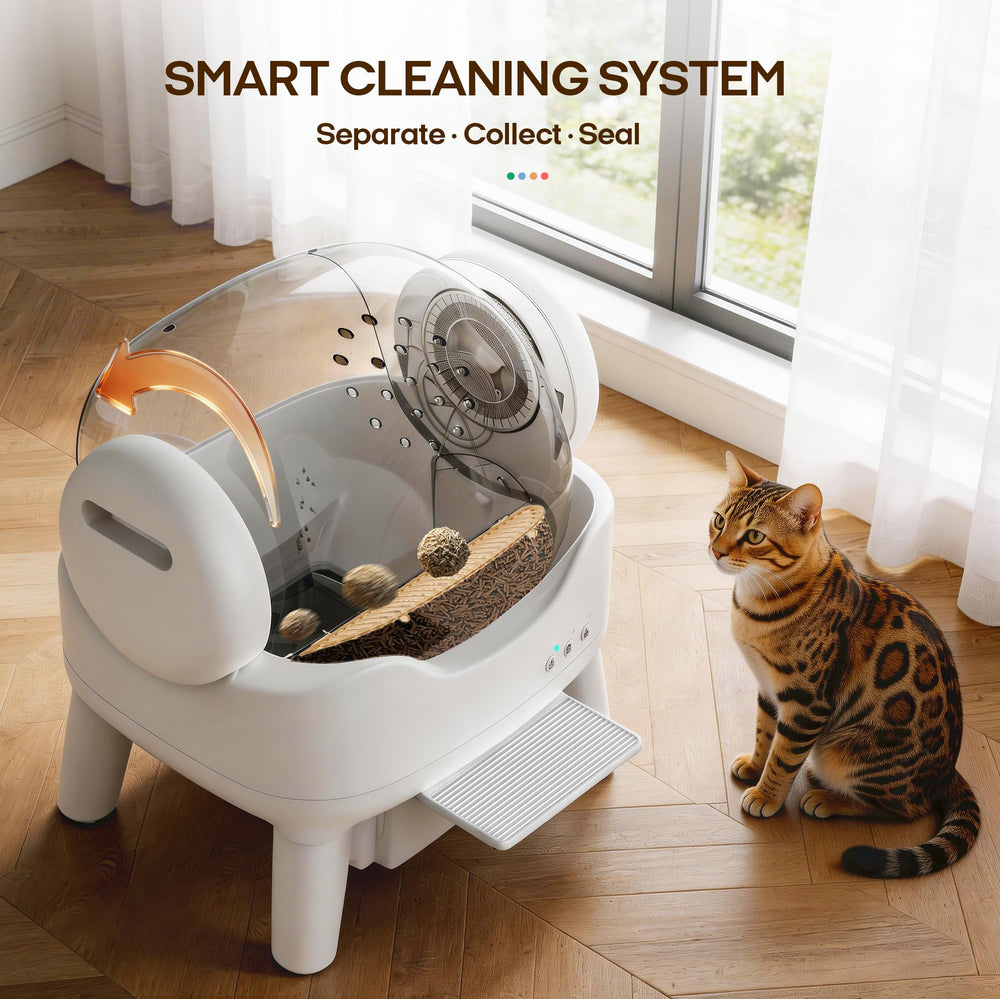 RPZ moteur silencieux, fonctionnement discret pour chats sensibles.