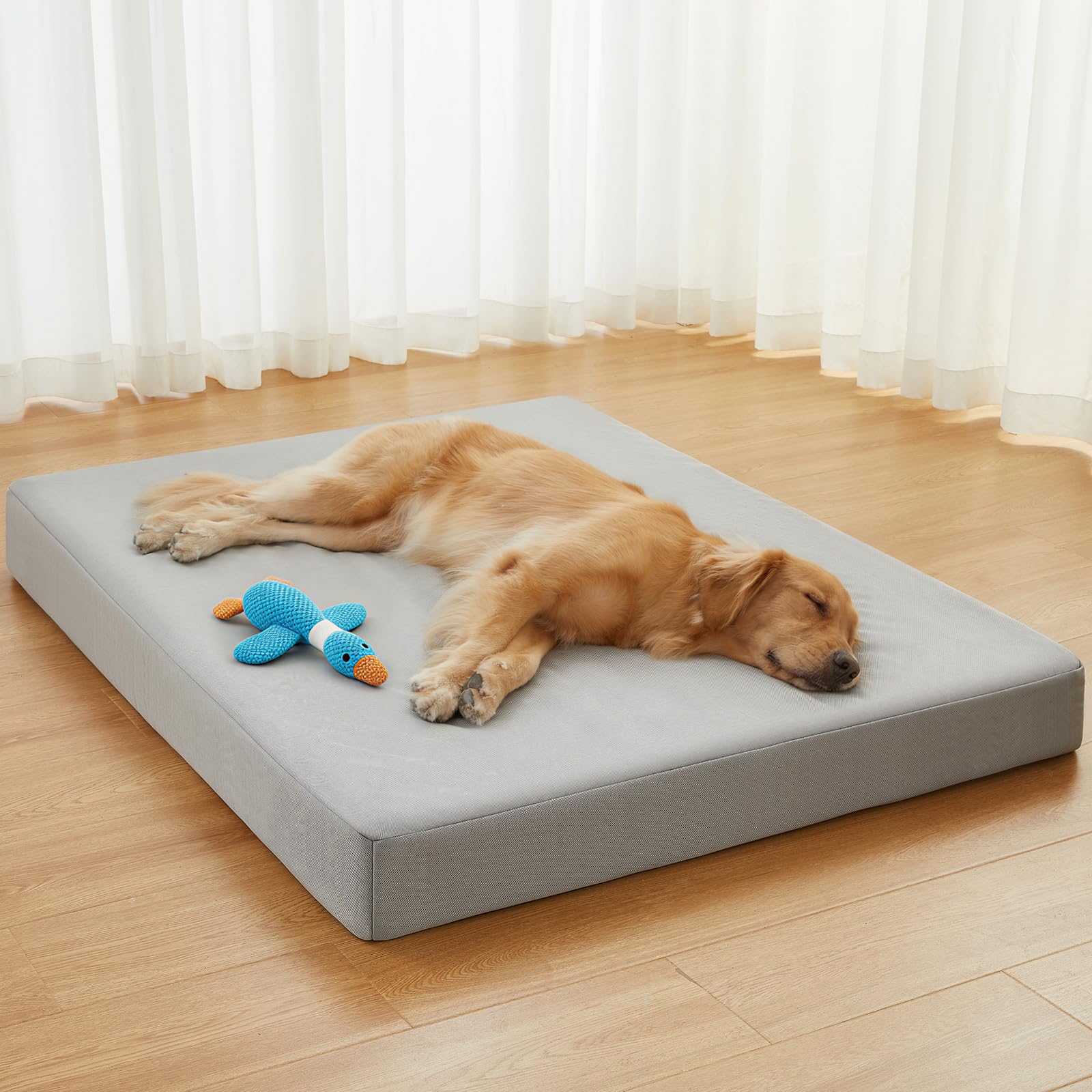 Lit pour chien RRPETHOME incassable – résistance aux morsures et confort durable.