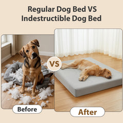 Revêtement imperméable et durable RRPETHOME – protège la mousse et reste confortable.