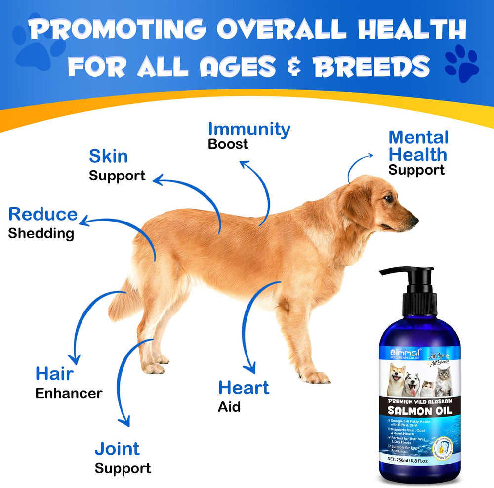 RTBYUE Omega3 — soutien des articulations du chien, mobilité douce.