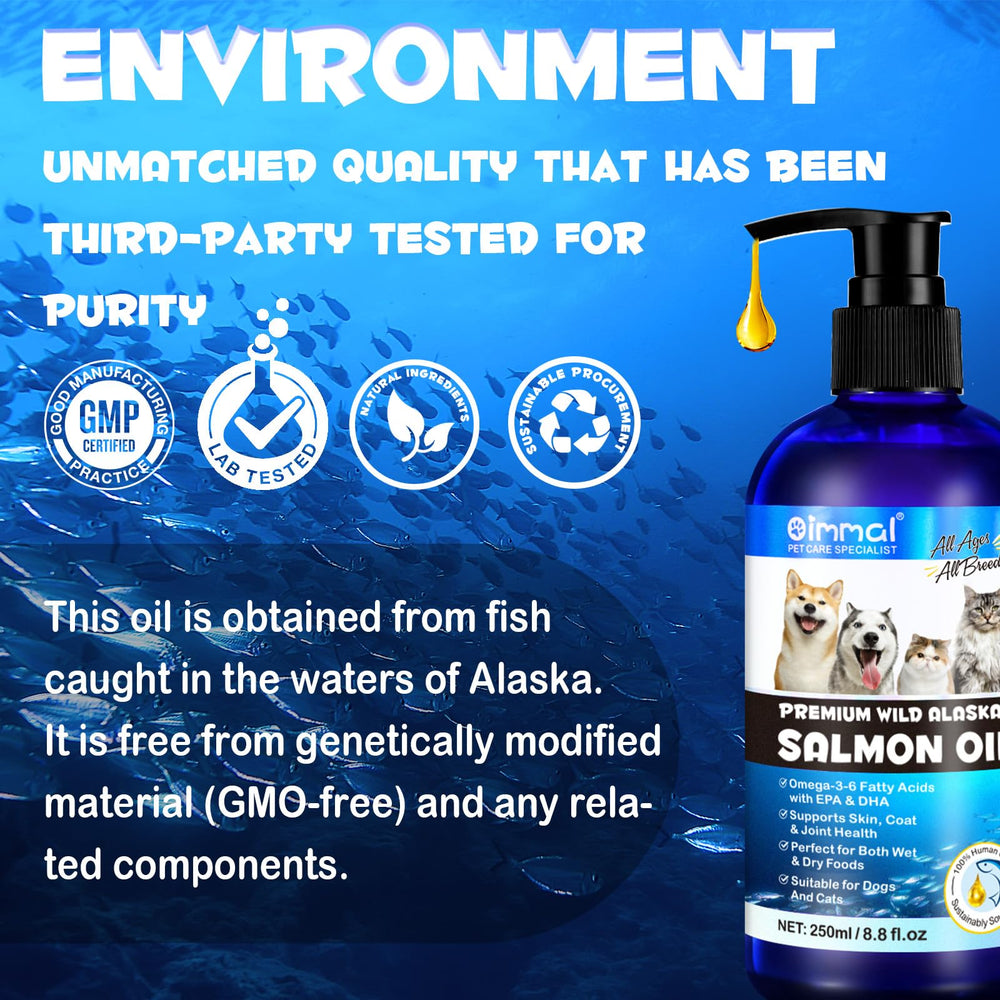 RTBYUE Omega3 pour chien — poil brillant, pelage éclatant et peau hydratée.