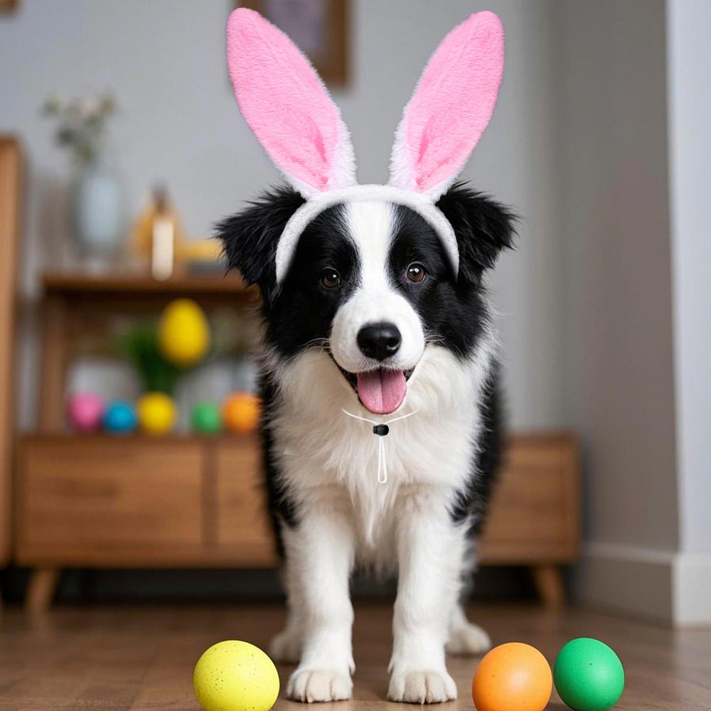 Rthjsfj costume photos chien lapin rose, crée des souvenirs chaleureux.