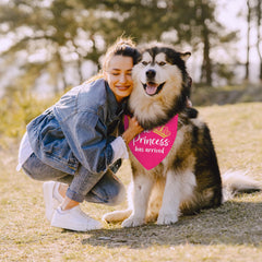 Bandana RTTLALUO chien apparence joyeuse, double-face pratique pour les photos.