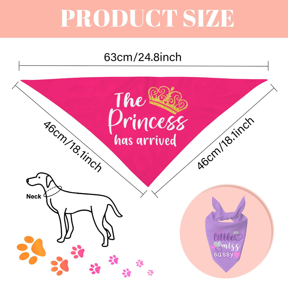 Bandana RTTLALUO chien Noël princesse rose, air festif et confortable.
