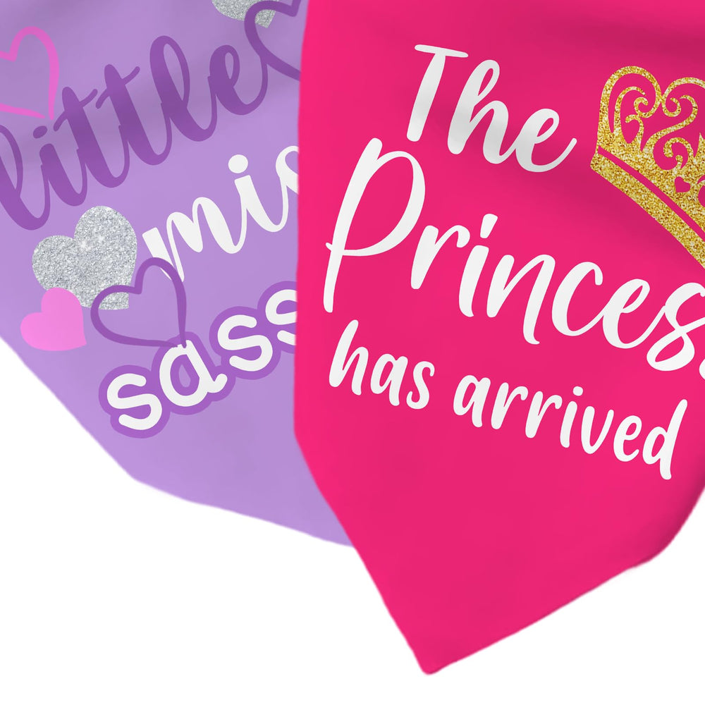 Bandana RTTLALUO 2 pièces prêtes pour Noël et fêtes.