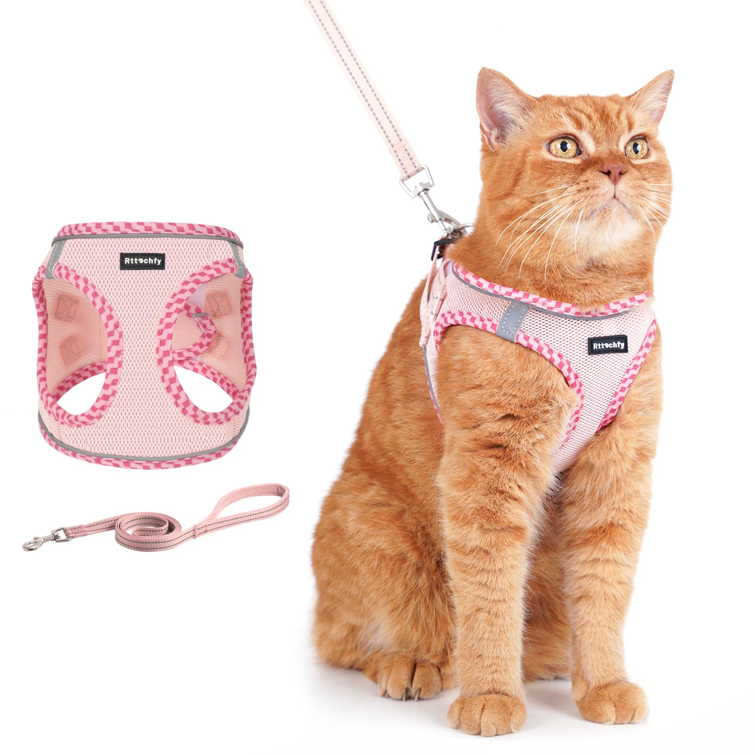 Harnais Rttochfy pour chat à torse ajustable offrant un port confortable.