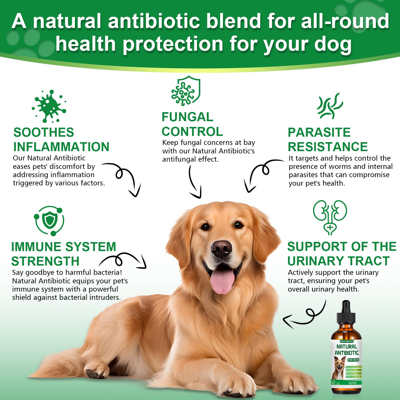 RUAKPL: echinacée, soutien immunitaire naturel pour votre chien.