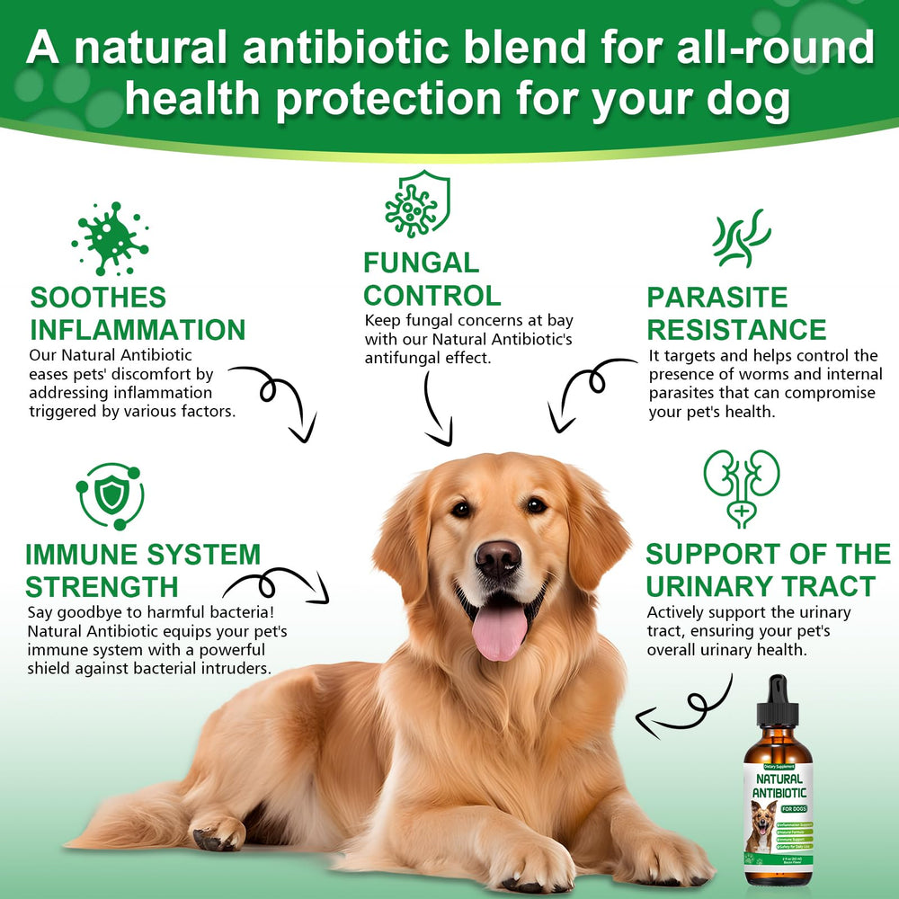 RUAKPL: echinacée, soutien immunitaire naturel pour votre chien.