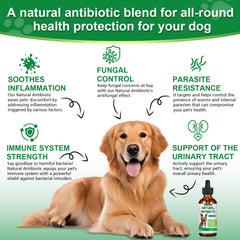 RUAKPL: echinacée, soutien immunitaire naturel pour votre chien.