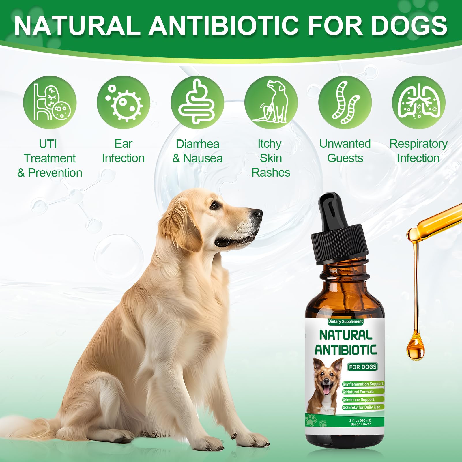 RUAKPL: origan, potentiel équilibre digestif pour votre chien.