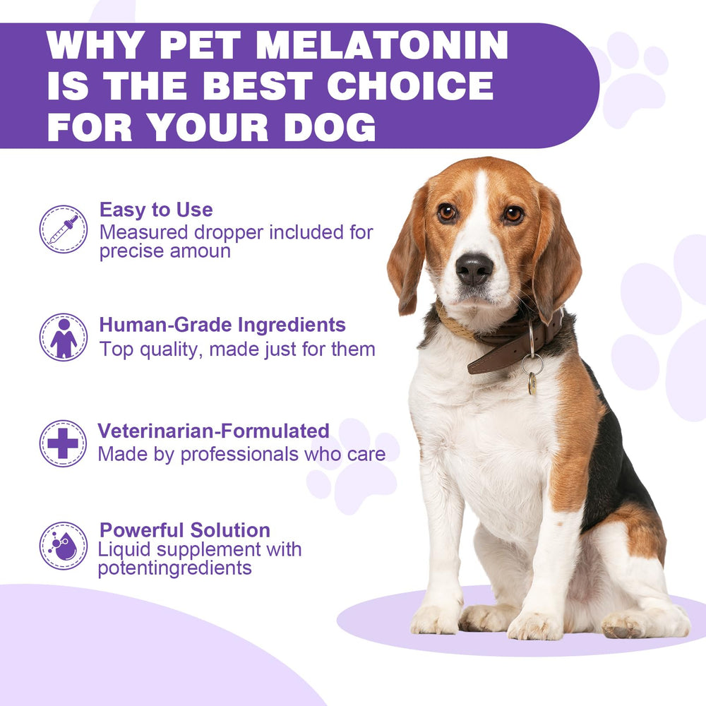 RUAKPL Mélatonine pour chiens - dosage selon le poids, prise facile même pour chiens difficiles.
