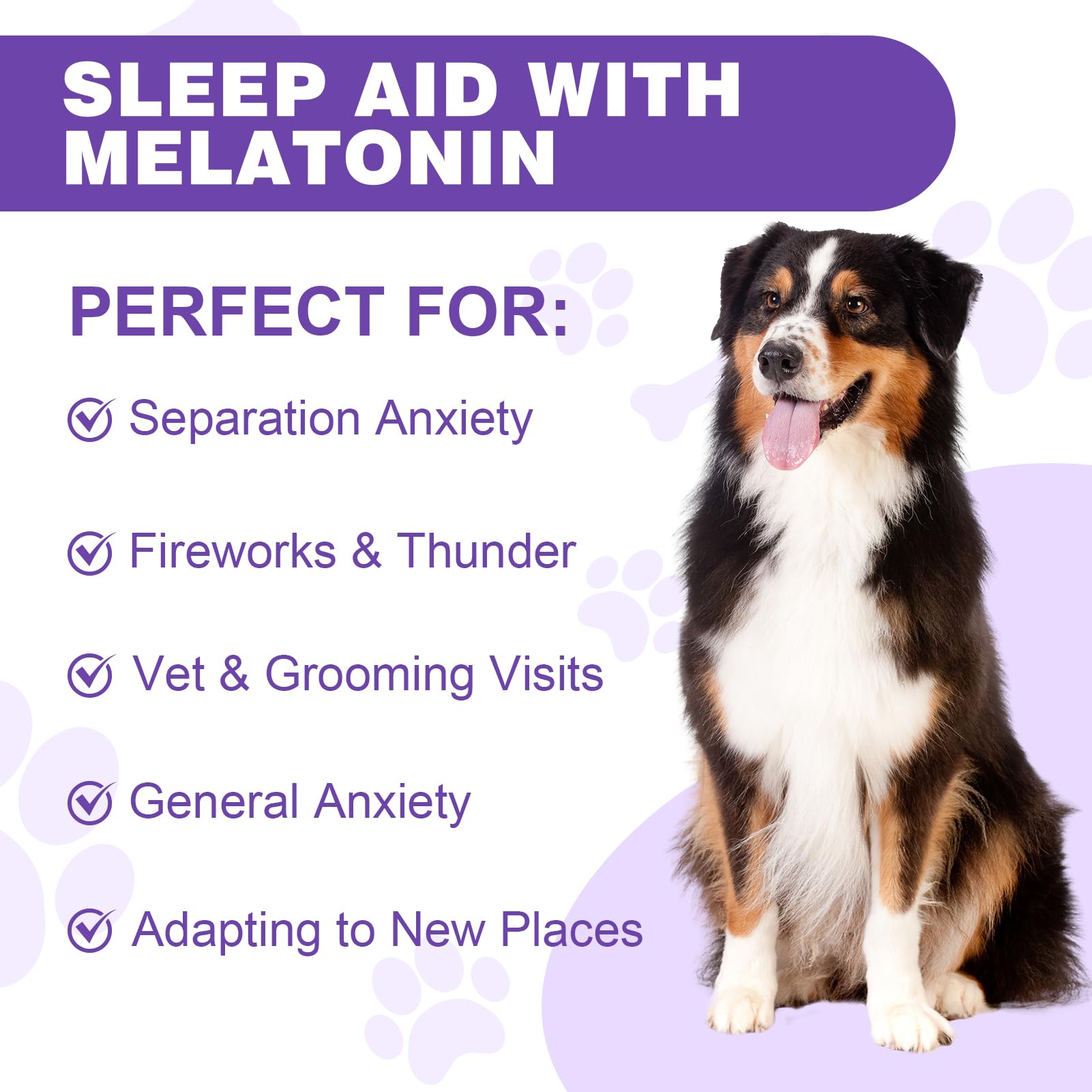 RUAKPL Mélatonine pour chiens - réduction potentielle du stress environnemental, saveur bacon.