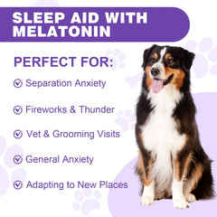 RUAKPL Mélatonine pour chiens - réduction potentielle du stress environnemental, saveur bacon.