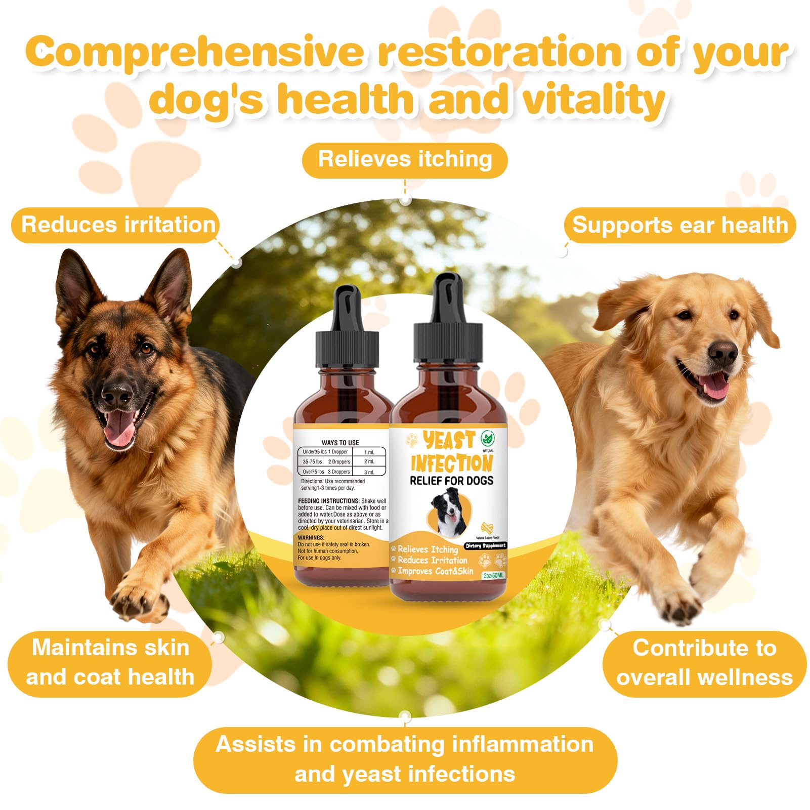RUAKPL Traitement levure chien – Tableau de posologie pour dosage précis.