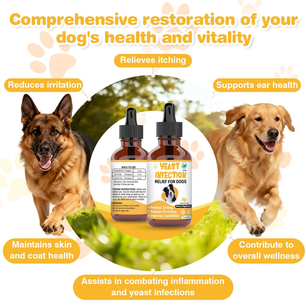 RUAKPL Traitement levure chien – Tableau de posologie pour dosage précis.